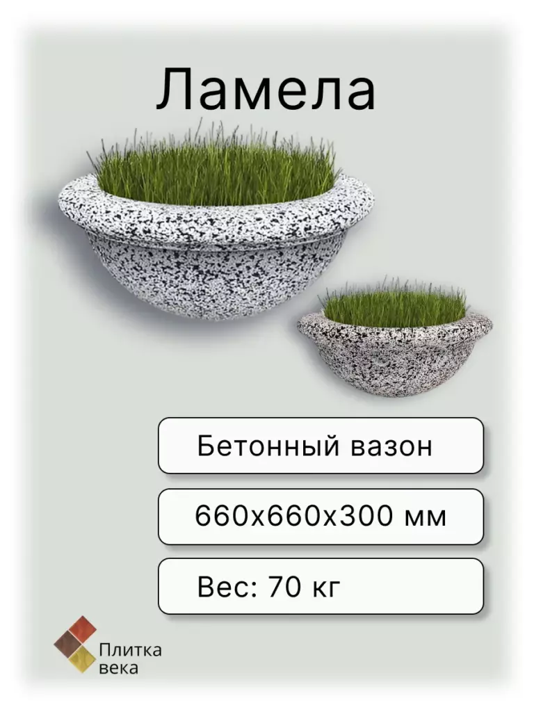 вазон Ламела